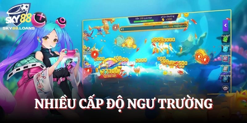 Nhiều cấp độ ngư trường