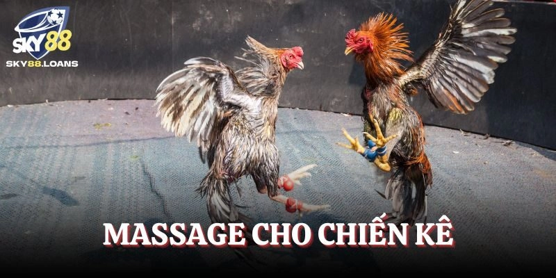 Massage gà thường xuyên